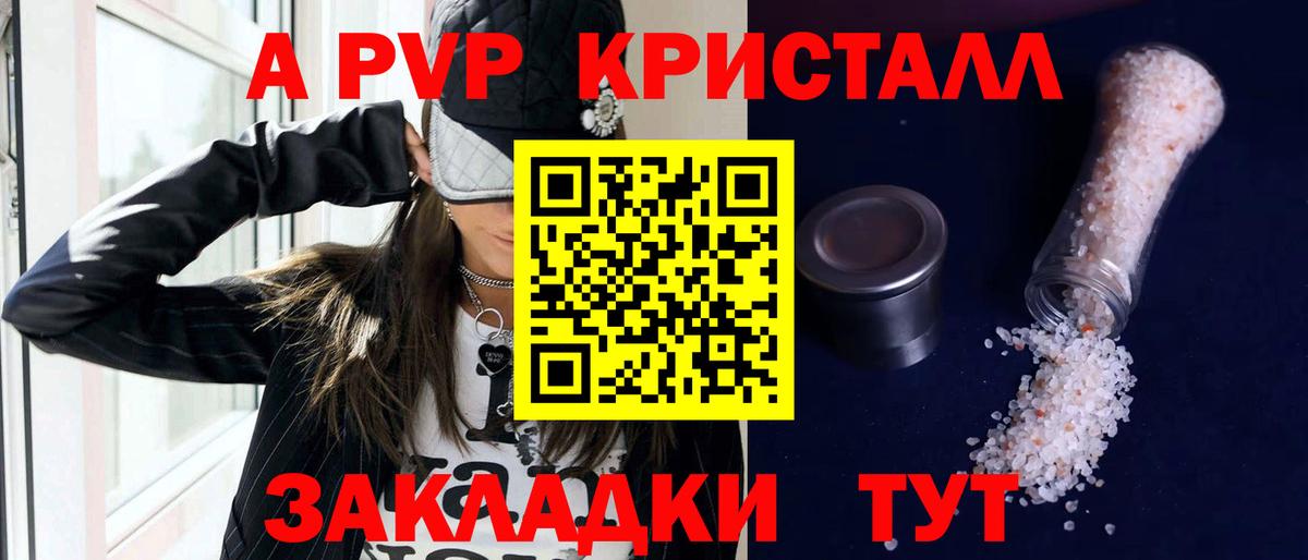 Альфа ПВП СК КРИС Ставрополь