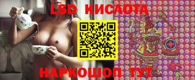mdpv Новозыбков