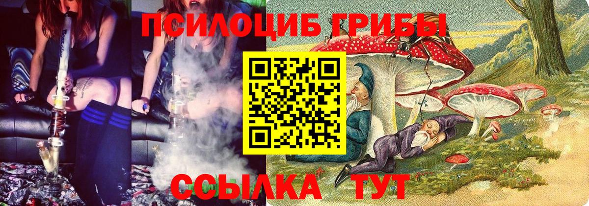 сколько стоит  Вход с VPN  Ставрополь  Псилоцибиновые грибы Psilocybine cubensis 