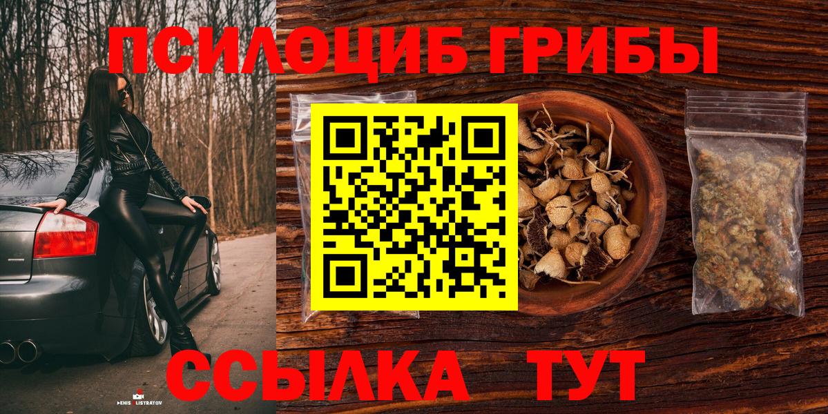 Псилоцибиновые грибы мухоморы Ставрополь