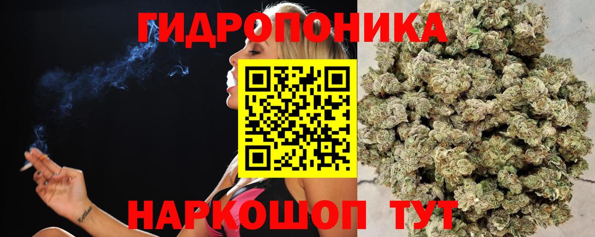 Марихуана план  Марихуана тримм  Вход с VPN  Ставрополь  Марихуана планчик 